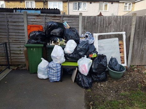 Beautifully cleared and maintained garden in South London